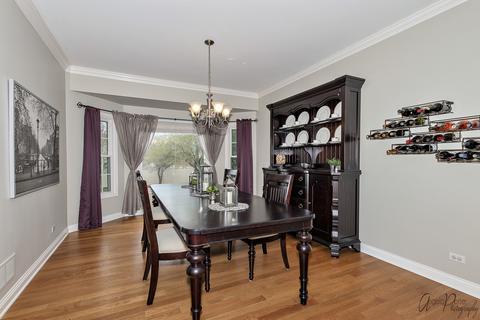 20 Deeke Ct, Roselle, IL 60172 photo 7