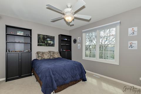 20 Deeke Ct, Roselle, IL 60172 photo 23