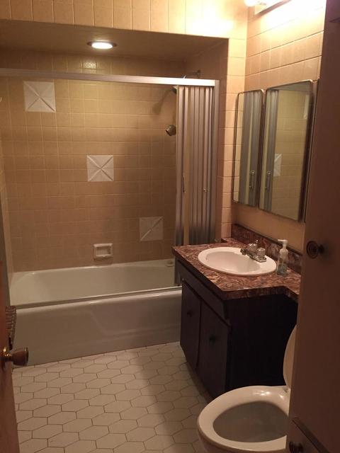 346 Franklin Ave, River Forest, IL 60305 photo 8