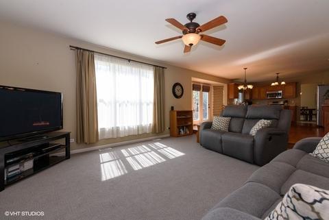 223 Hearthstone Dr, Bartlett, IL 60103 photo 11