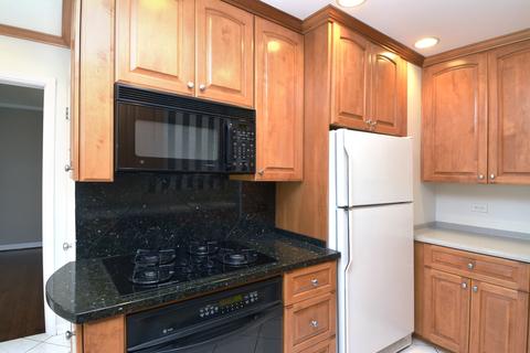 421 S Pine St, Mount Prospect, IL 60056 photo 16