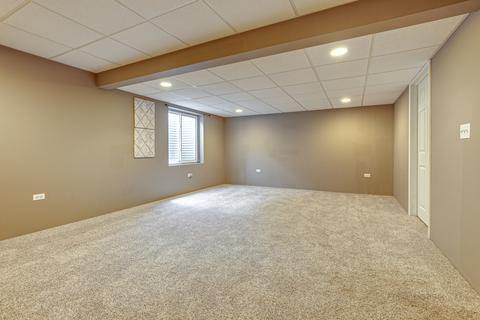 446 Mockingbird Ct, Lindenhurst, IL 60046 photo 24
