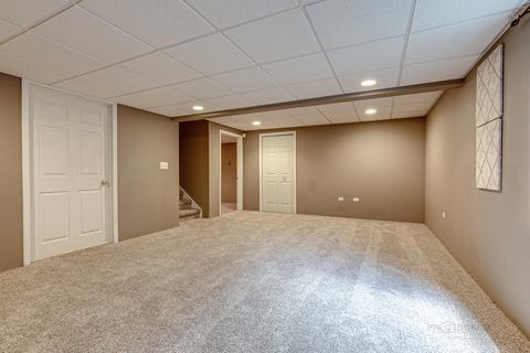 446 Mockingbird Ct, Lindenhurst, IL 60046 photo 23