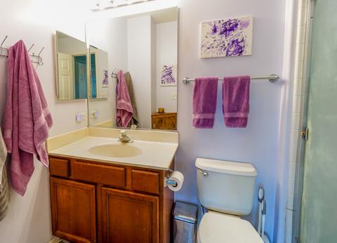 32509 Millstone Cir, Lakemoor, IL 60051 photo 16