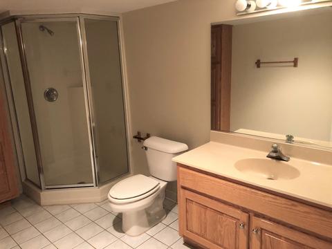 12 Dover Ct, Algonquin, IL 60102 photo 15