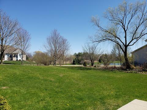 1 Blackwolf Ct, Algonquin, IL 60102 photo 42
