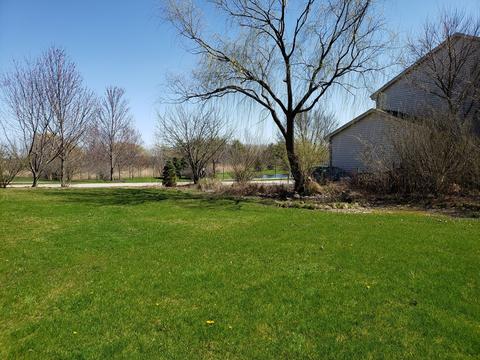 1 Blackwolf Ct, Algonquin, IL 60102 photo 41