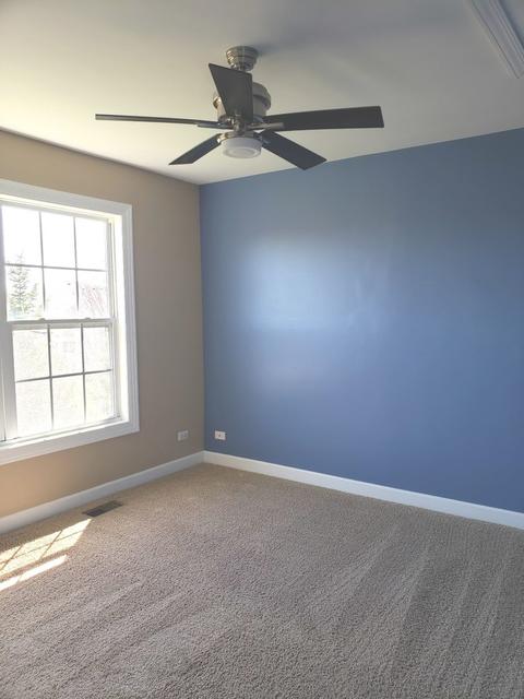 1 Blackwolf Ct, Algonquin, IL 60102 photo 29