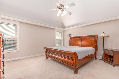 22907 Weinhold Dr, Plainfield, IL 60585 photo 23