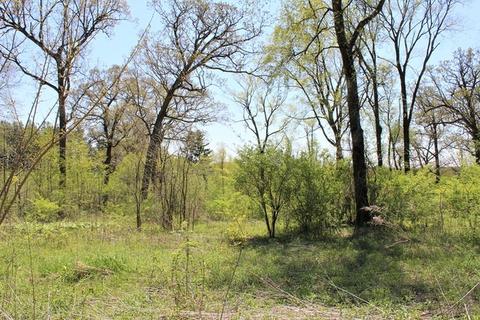 lot20 Masters Dr, Morrison, IL 61270