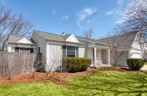720 W Paddock Dr, Wheeling, IL 60090 photo 1