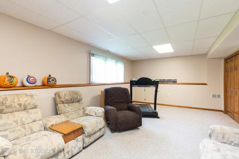 41 W700 Lenz Rd, Elgin, IL 60124 photo 43