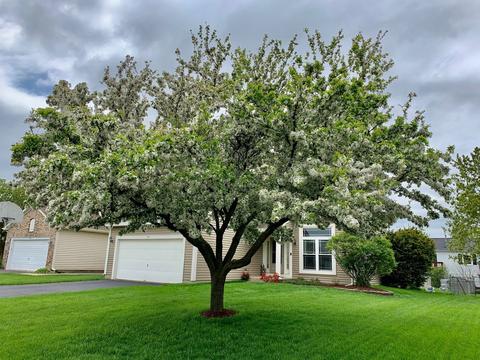 978 Tallgrass Dr, Bartlett, IL 60103 photo 23