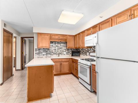 1600 E Thacker St #304, Des Plaines, IL 60016 photo 12
