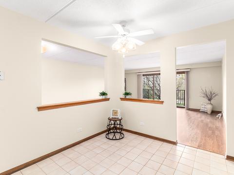 1600 E Thacker St #304, Des Plaines, IL 60016 photo 10