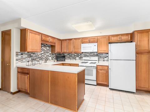 1600 E Thacker St #304, Des Plaines, IL 60016 photo 8