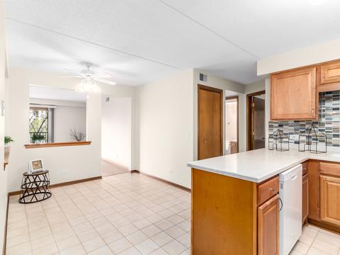1600 E Thacker St #304, Des Plaines, IL 60016 photo 11