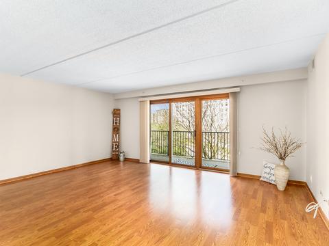 1600 E Thacker St #304, Des Plaines, IL 60016 photo 5