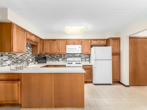 1600 E Thacker St #304, Des Plaines, IL 60016 photo 9