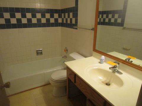 743 Algona Ave, Elgin, IL 60120 photo 10