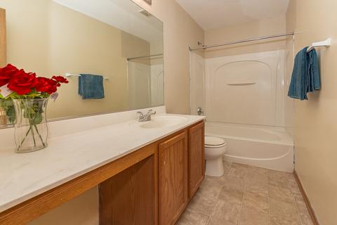 14425 Independence Dr, Plainfield, IL 60544 photo 27