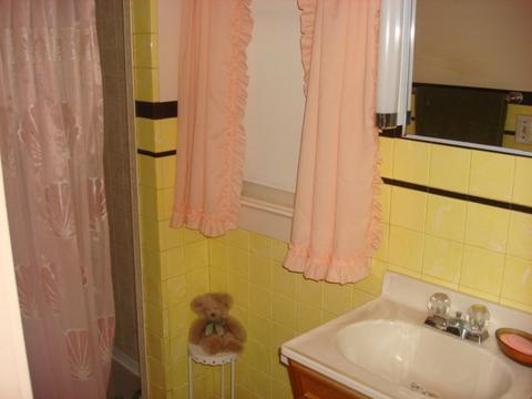 300 Gary St, Leonore, IL 61332 photo 16