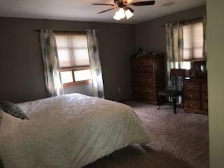 204 S Genesee St, Morrison, IL 61270 photo 7