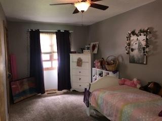 204 S Genesee St, Morrison, IL 61270 photo 9