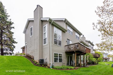 8 Brian Ct, Algonquin, IL 60102 photo 21