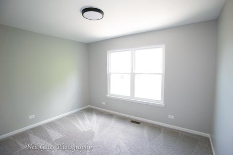 1341 Paddock Pl, Bartlett, IL 60103 photo 25