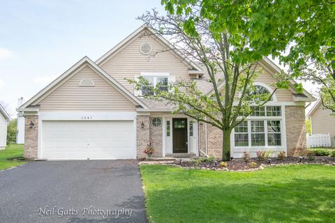 1341 Paddock Pl, Bartlett, IL 60103 photo 1