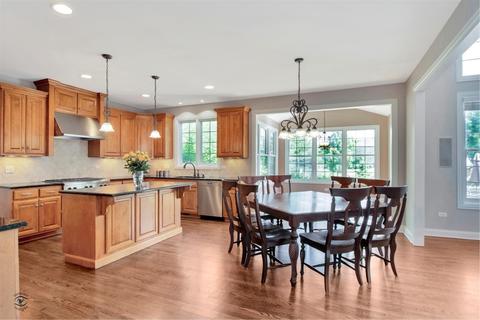 13246 Skyline Dr, Plainfield, IL 60585 photo 3