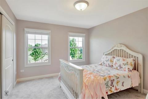 13246 Skyline Dr, Plainfield, IL 60585 photo 29