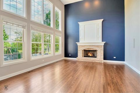 13246 Skyline Dr, Plainfield, IL 60585 photo 6