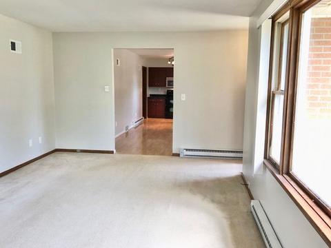 312 S Second St, Peotone, IL 60468 photo 4