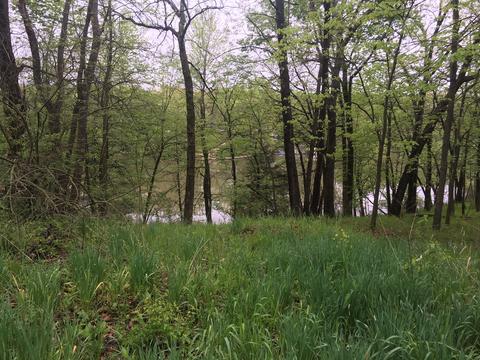 4 Cedar Ct, Putnam, IL 61560 photo 7