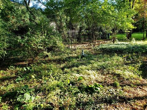 6 Cardiff Ct, Algonquin, IL 60102 photo 30
