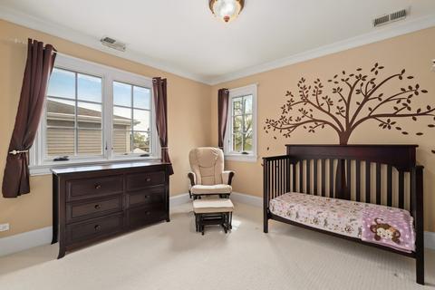 8212 N Newcastle Ave, Niles, IL 60714 photo 26