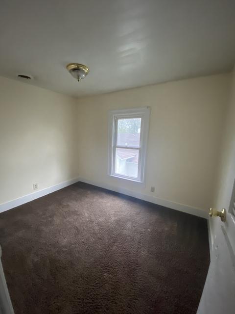 207 E Abe St, Plano, IL 60545 photo 15