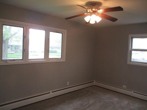 3435 Sally Dr, Steger, IL 60475 photo 6