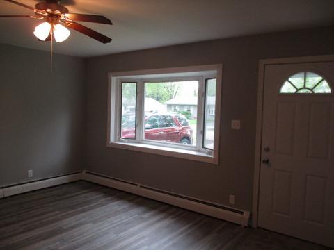 3435 Sally Dr, Steger, IL 60475 photo 5