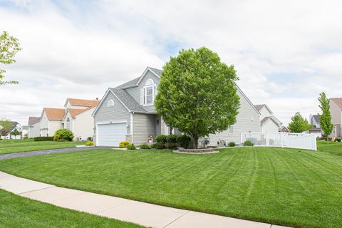 1604 Red Maple Dr, Plainfield, IL 60586 photo 35