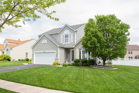 1604 Red Maple Dr, Plainfield, IL 60586 photo 33