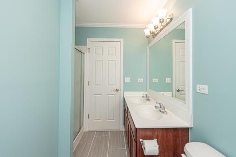 1604 Red Maple Dr, Plainfield, IL 60586 photo 25