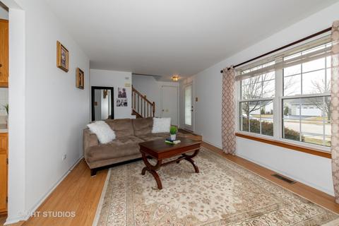 4507 Mallard Ln, Plainfield, IL 60586 photo 3