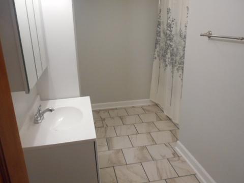 3527 Kings Rd, Steger, IL 60475 photo 11