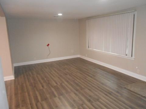 3527 Kings Rd, Steger, IL 60475 photo 3