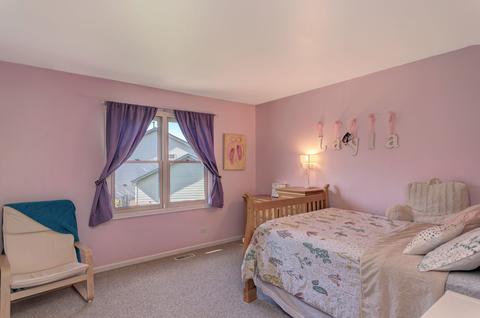 2870 Sarah Ct, Elgin, IL 60124 photo 29
