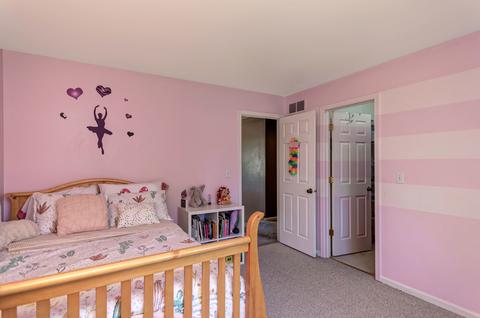 2870 Sarah Ct, Elgin, IL 60124 photo 31