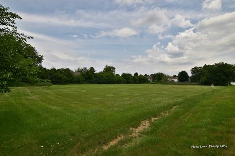 25636 W Wolfs Rd, Plainfield, IL 60585 photo 27